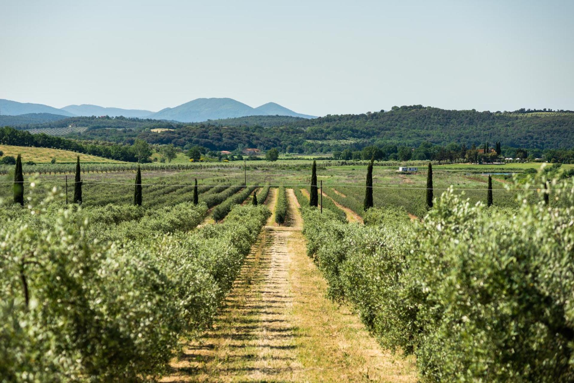 Tenuta Il Cicalino Massa Marittima Exterior foto